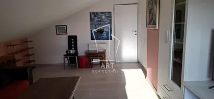 Dr Ivana Ribara | 4zida.rs