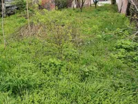 Pivara, Gradske lokacije, Kragujevac | 4zida.rs