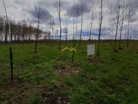 Plac | 4zida