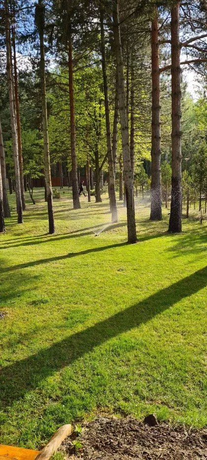 Bagremova | 4zida.rs