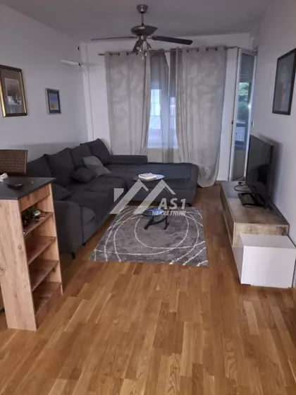 Dalmatinska | 4zida.rs