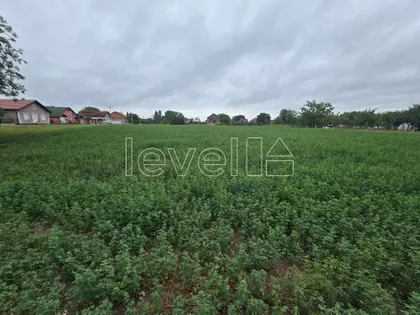 Jarkovci | 4zida.rs