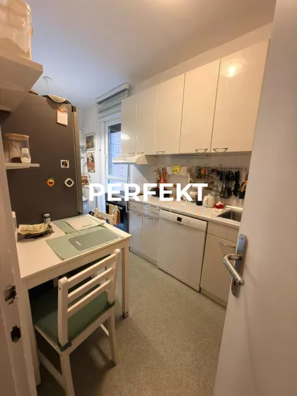 Milorada Šapčanina | 4zida.rs