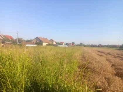 Azanjska | 4zida.rs