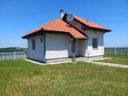 Pambukovica | 4zida.rs