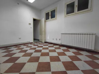 Milana Uzelca | 4zida.rs