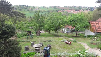 Lole Ribara | 4zida.rs