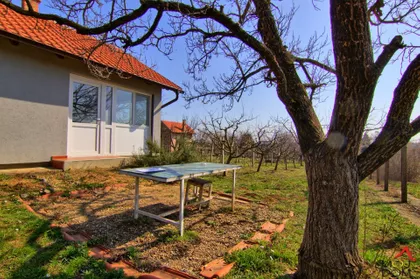 Čortanovci | 4zida.rs