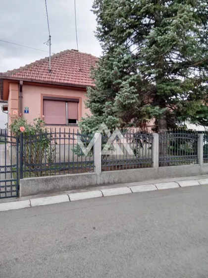 Dalmatinska | 4zida.rs