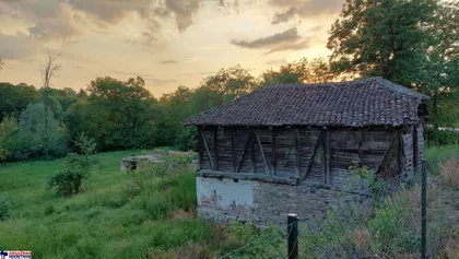 Boljevačka | 4zida.rs