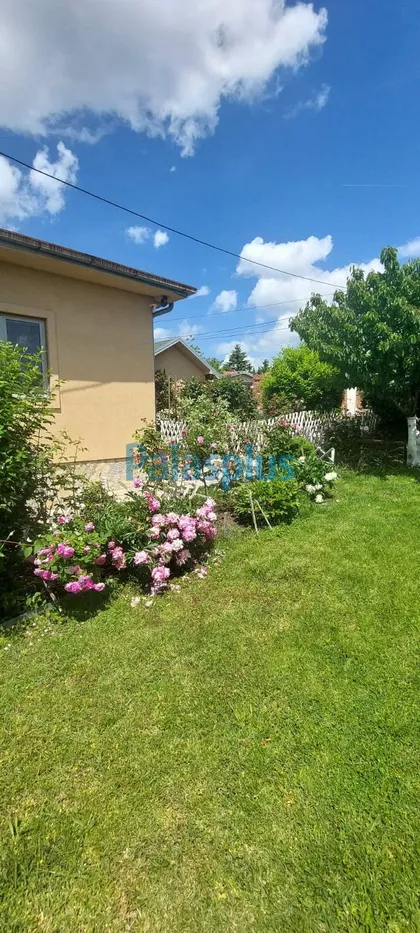 Stara lipovica | 4zida.rs