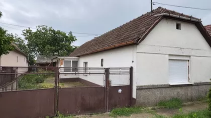 Mužlja | 4zida.rs