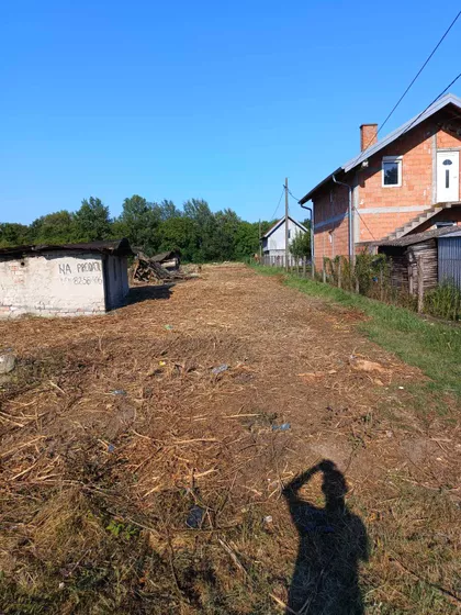 Petra Peje Damnjanovića | 4zida.rs