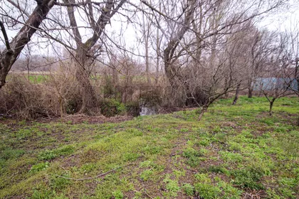 Vele polje | 4zida.rs