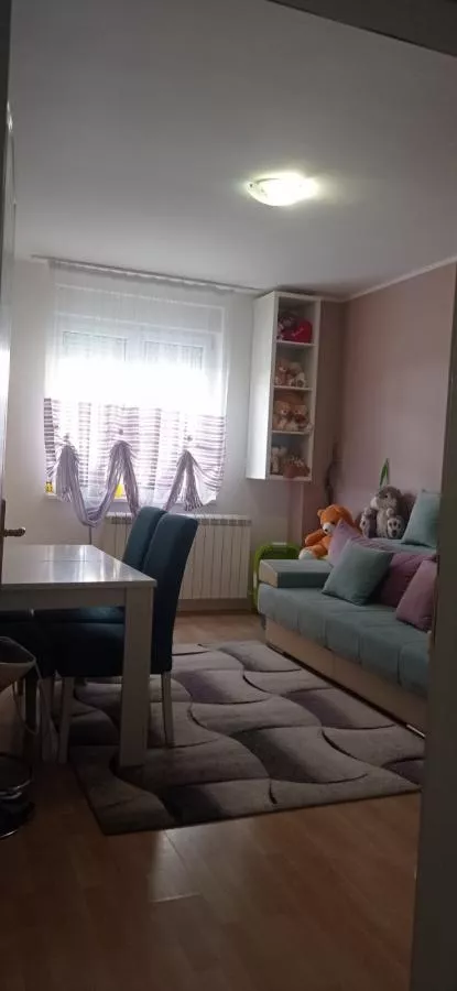 Salajka | 4zida.rs