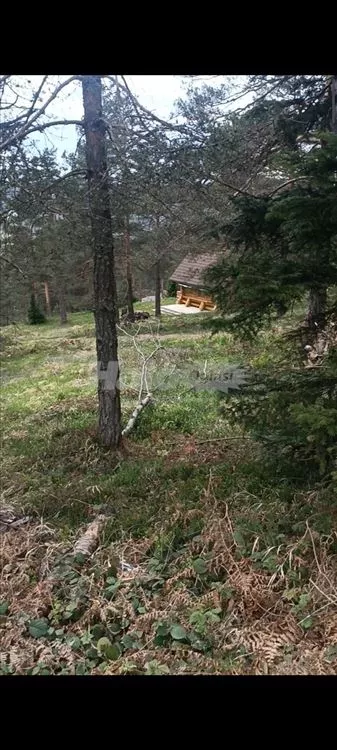 Stražarska | 4zida.rs
