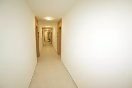 Dušanovac | 4zida.rs