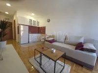 Nova Detelinara, Detelinara, Gradske lokacije, Novi Sad | 4zida.rs