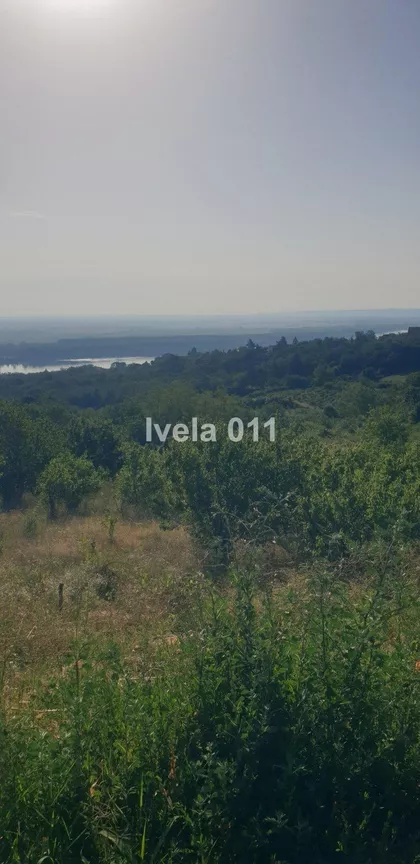 Zaklopača | 4zida.rs