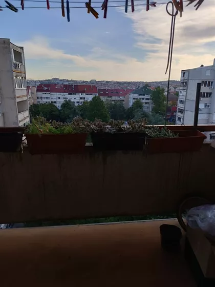 Dragice Končar 16 | 4zida.rs
