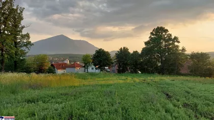 Bukovička | 4zida.rs