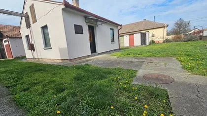 Zrenjanin, Zeleno polje | 4zida.rs