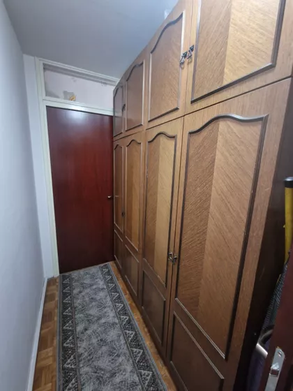 Bulevar Arsenija Čarnojevića | 4zida.rs
