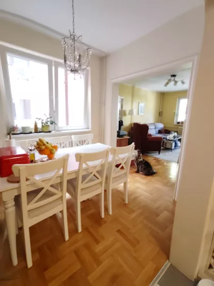 Ulofa Palmea | 4zida.rs