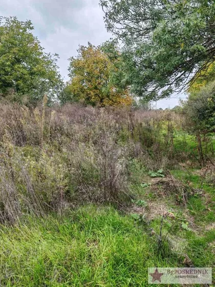 Straževica | 4zida.rs