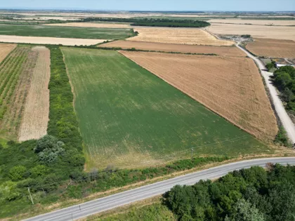 Dvanaestog Avgusta | 4zida.rs