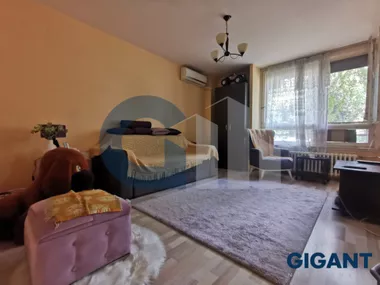 Svetozara Papića