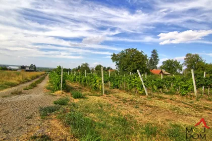 Banoštor | 4zida.rs