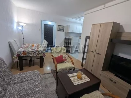 Dr Ivana Ribara | 4zida.rs