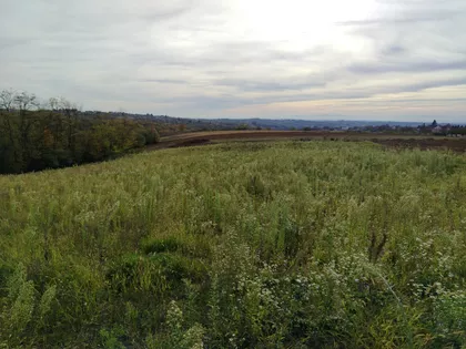 Lazara Jankovića | 4zida.rs