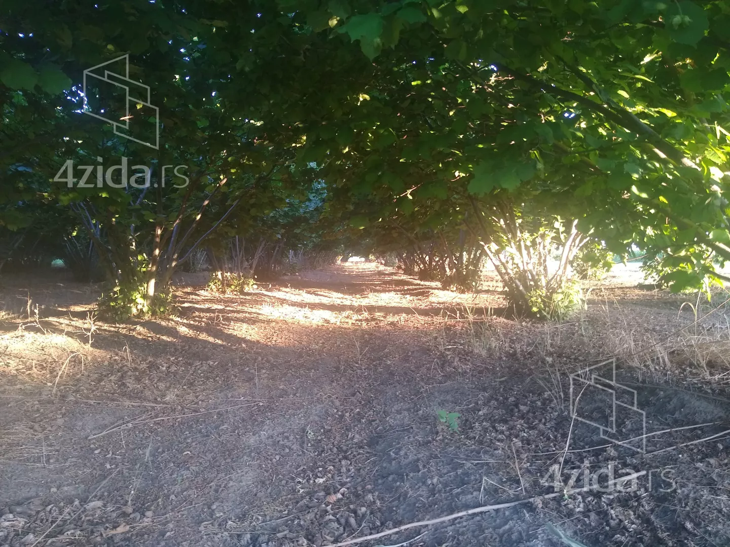 Poljoprivredno zemljište | 4zida