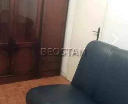 Dr Ivana Ribara | 4zida.rs