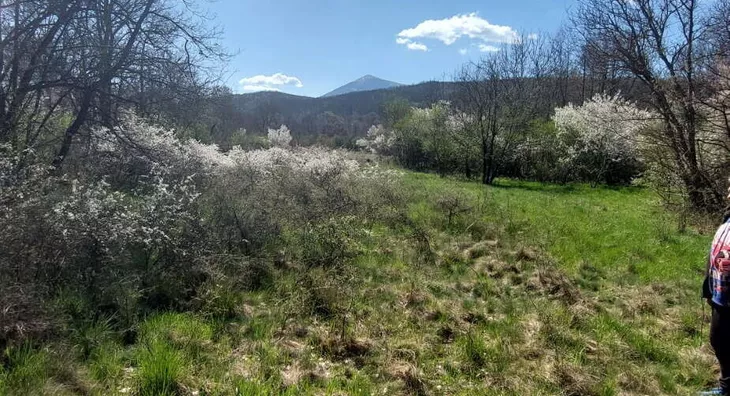 Poljoprivredno zemljište | 4zida