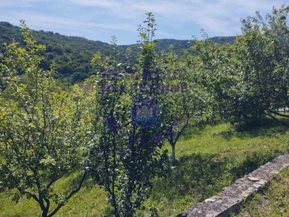 Paragovo | 4zida.rs