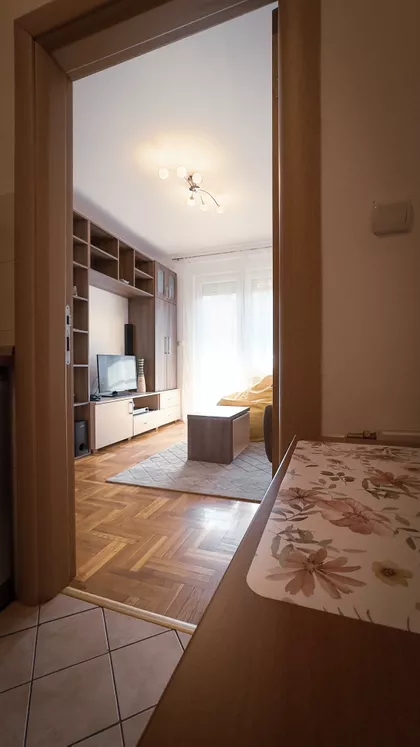 Janka Čmelika | 4zida.rs