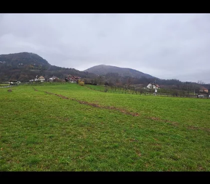 Milutina Čolića 64 | 4zida.rs