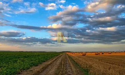 Okolne lokacije | 4zida.rs