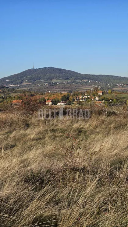 Potes Kolarica | 4zida.rs