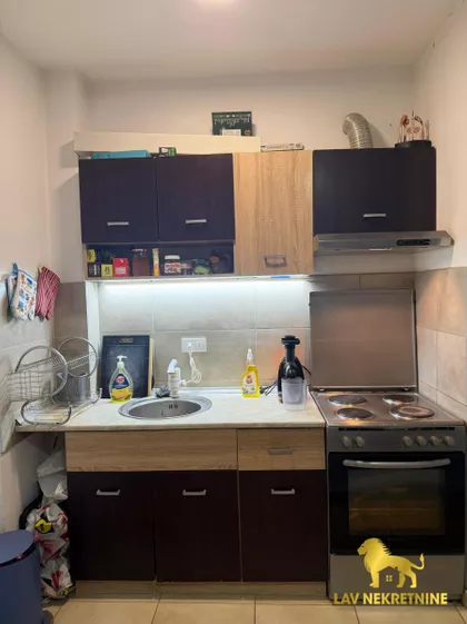 VESELINA MASLEŠE | 4zida.rs