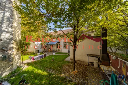 dr Petra Markovica | 4zida.rs