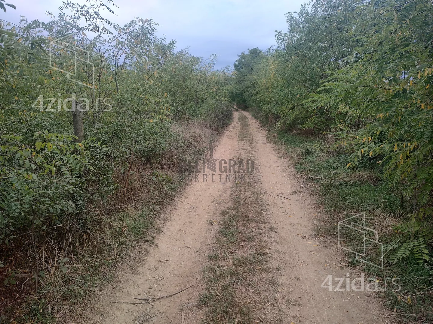 Plac | 4zida