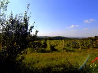Bocke, Sremska Kamenica, Gradske lokacije, Novi Sad | 4zida.rs