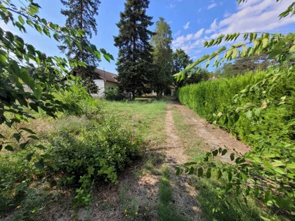 Zelengorska | 4zida.rs