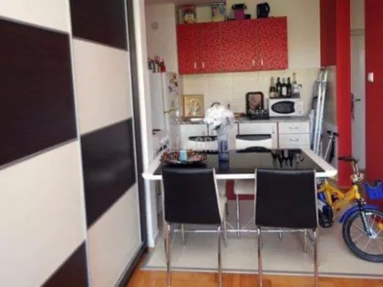 Pilota Mihaila Petrovića | 4zida.rs