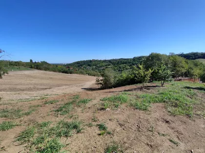 Sremska Kamenica | 4zida.rs