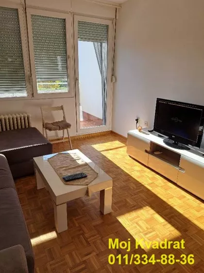 Dr Ivana Ribara | 4zida.rs